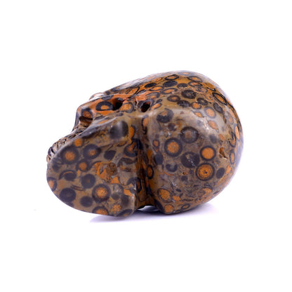 Nicedony 2.2" Leopard Skin Jasper Hand Carved Realistic Skull - View 22