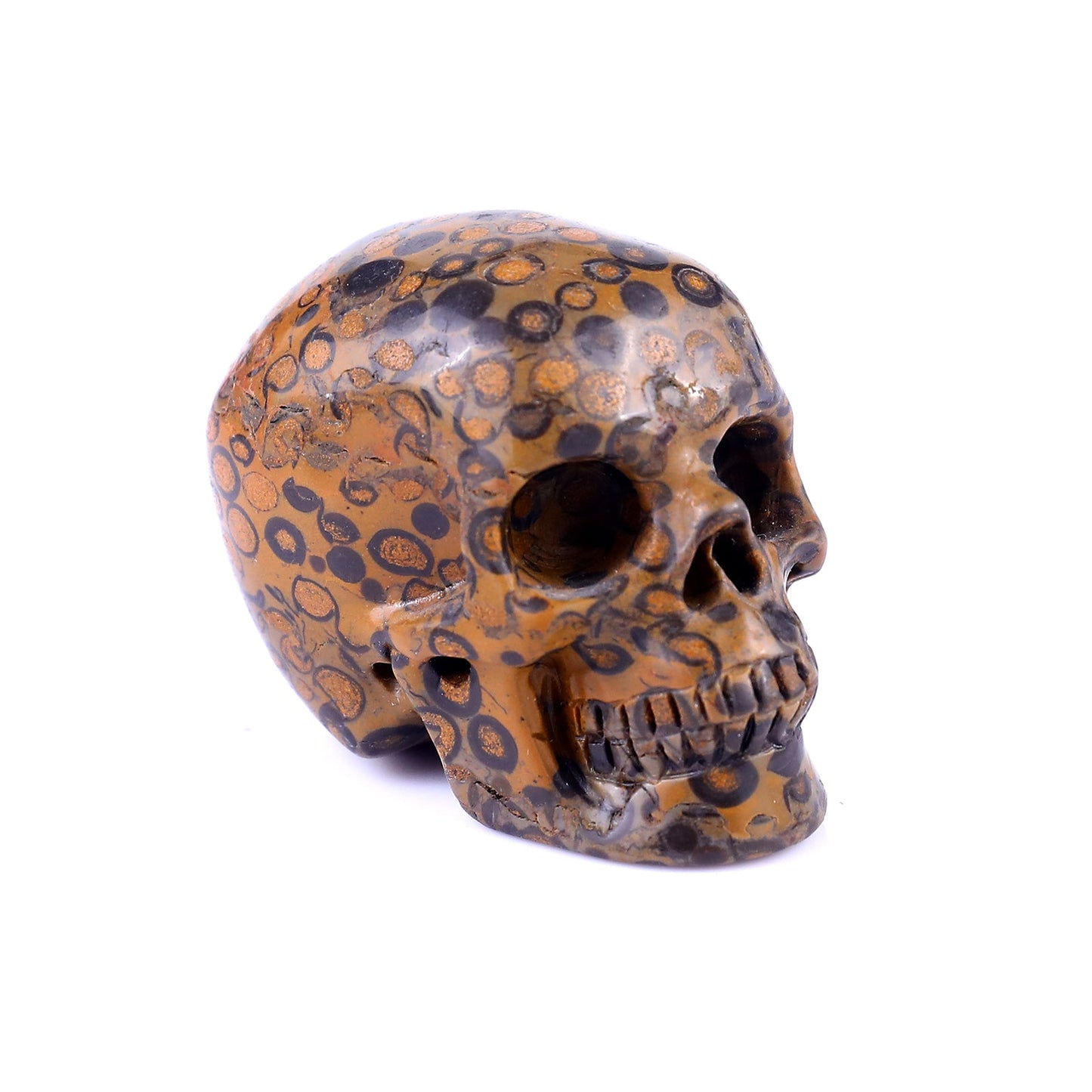 Nicedony 2.2" Leopard Skin Jasper Hand Carved Realistic Skull - View 18
