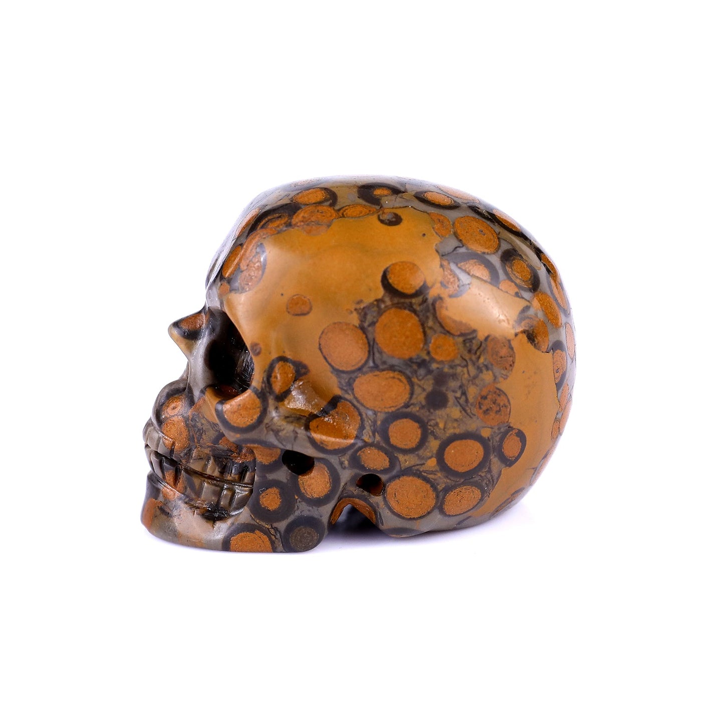 Nicedony 2.2" Leopard Skin Jasper Hand Carved Realistic Skull - View 14