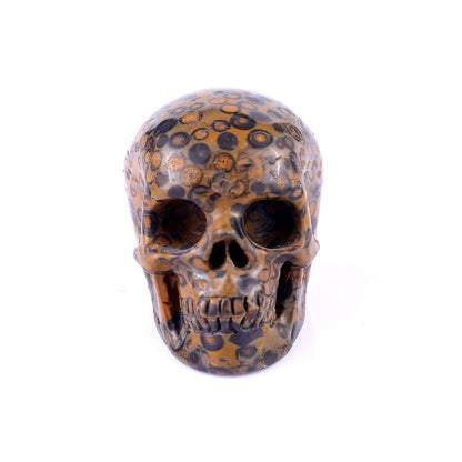 Nicedony 2.2" Leopard Skin Jasper Hand Carved Realistic Skull - View 19