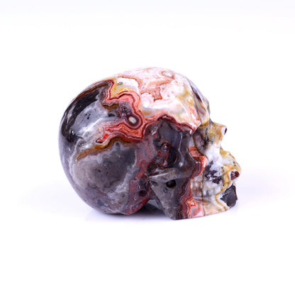 Nicedony 2.2" Red Crazy Lace Agate Hand Carved Realistic Skull - #5100080