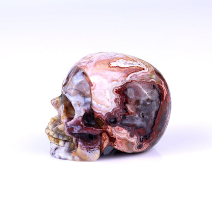 Nicedony 2.2" Red Crazy Lace Agate Hand Carved Realistic Skull - View 4