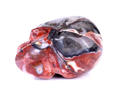 Nicedony 2.2" Red Crazy Lace Agate Hand Carved Realistic Skull - View 13