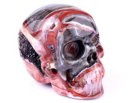 Nicedony 2.2" Red Crazy Lace Agate Hand Carved Realistic Skull - View 8
