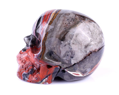 Nicedony 2.2" Red Crazy Lace Agate Hand Carved Realistic Skull - View 11
