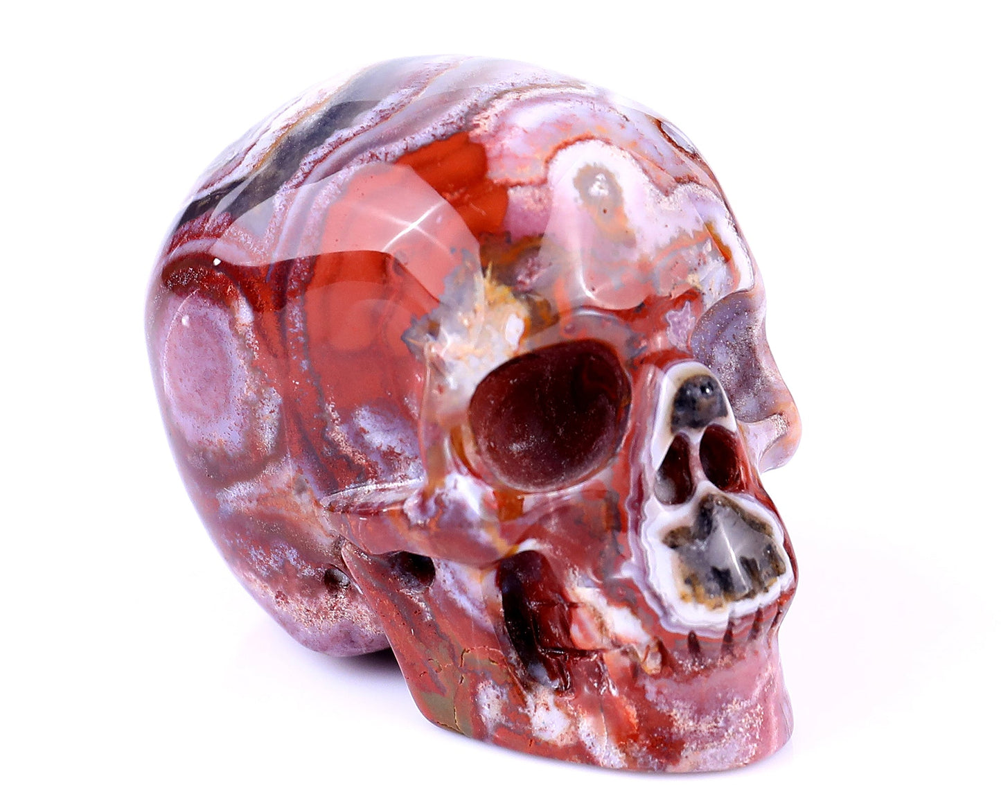 Nicedony 2.2" Red Crazy Lace Agate Hand Carved Realistic Skull - View 15