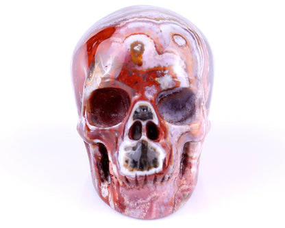Nicedony 2.2" Red Crazy Lace Agate Hand Carved Realistic Skull - View 17