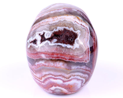 Nicedony 2.2" Red Crazy Lace Agate Hand Carved Realistic Skull - View 19