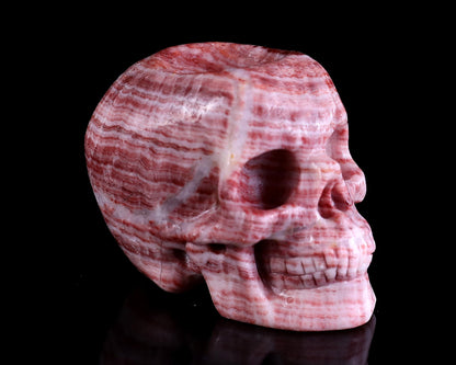 Nicedony 2.2" Red Zebra Agate Hand Carved Crystal Realistic Skull Ball Stand Sculpture - View 2