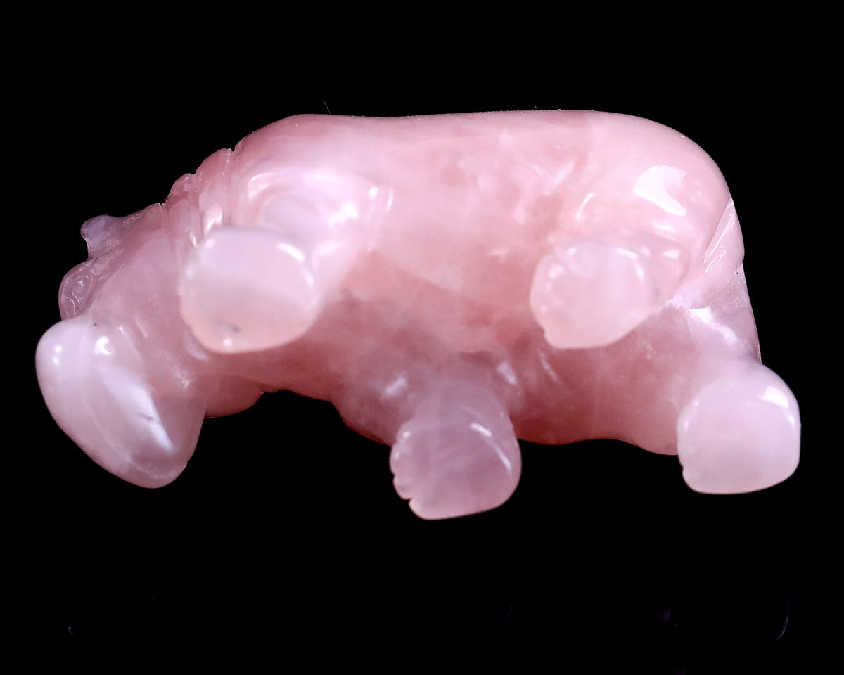 Why We Carve Animals