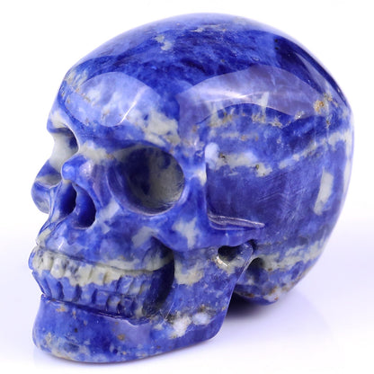 Nicedony 2.2" Sodalite Hand Carved Crystal Realistic Skull Sculpture - View 9