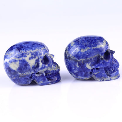 Nicedony 2.2" Sodalite Hand Carved Crystal Realistic Skull Sculpture - View 5