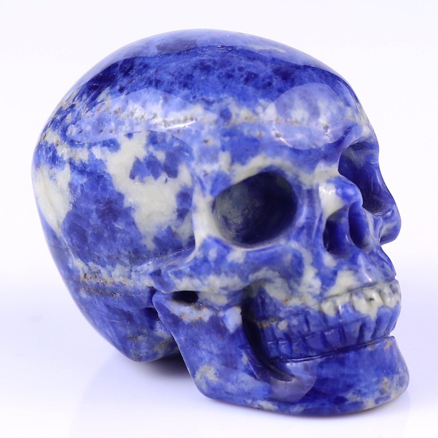 Nicedony 2.2" Sodalite Hand Carved Crystal Realistic Skull Sculpture - 1