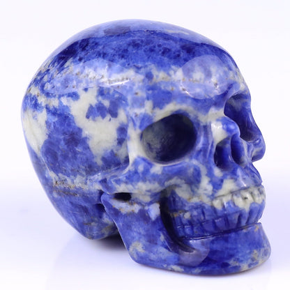 Nicedony 2.2" Sodalite Hand Carved Crystal Realistic Skull Sculpture - 1
