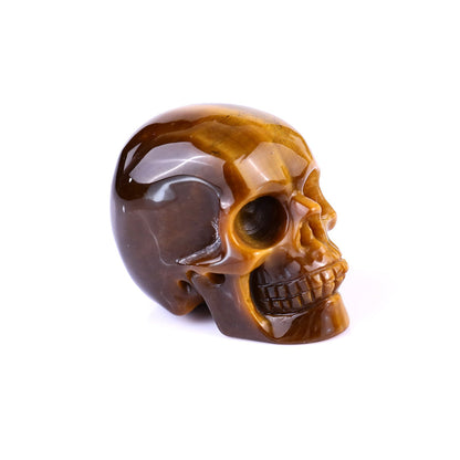 Nicedony 2.2" Gold Tiger Eye Hand Carved Realistic Skull Sculpture - View 15