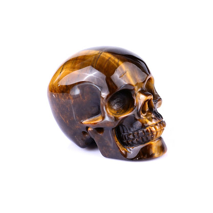 Nicedony 2.2" Gold Tiger Eye Hand Carved Realistic Skull Sculpture - View 8