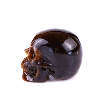 Nicedony 2.2" Gold Tiger Eye Hand Carved Realistic Skull Sculpture - View 18