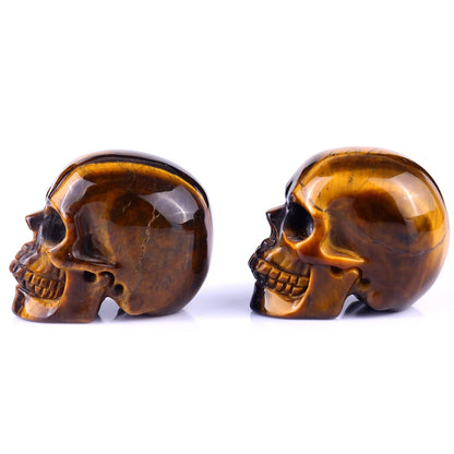 Nicedony 2.2" Gold Tiger Eye Hand Carved Realistic Skull Sculpture - View 26