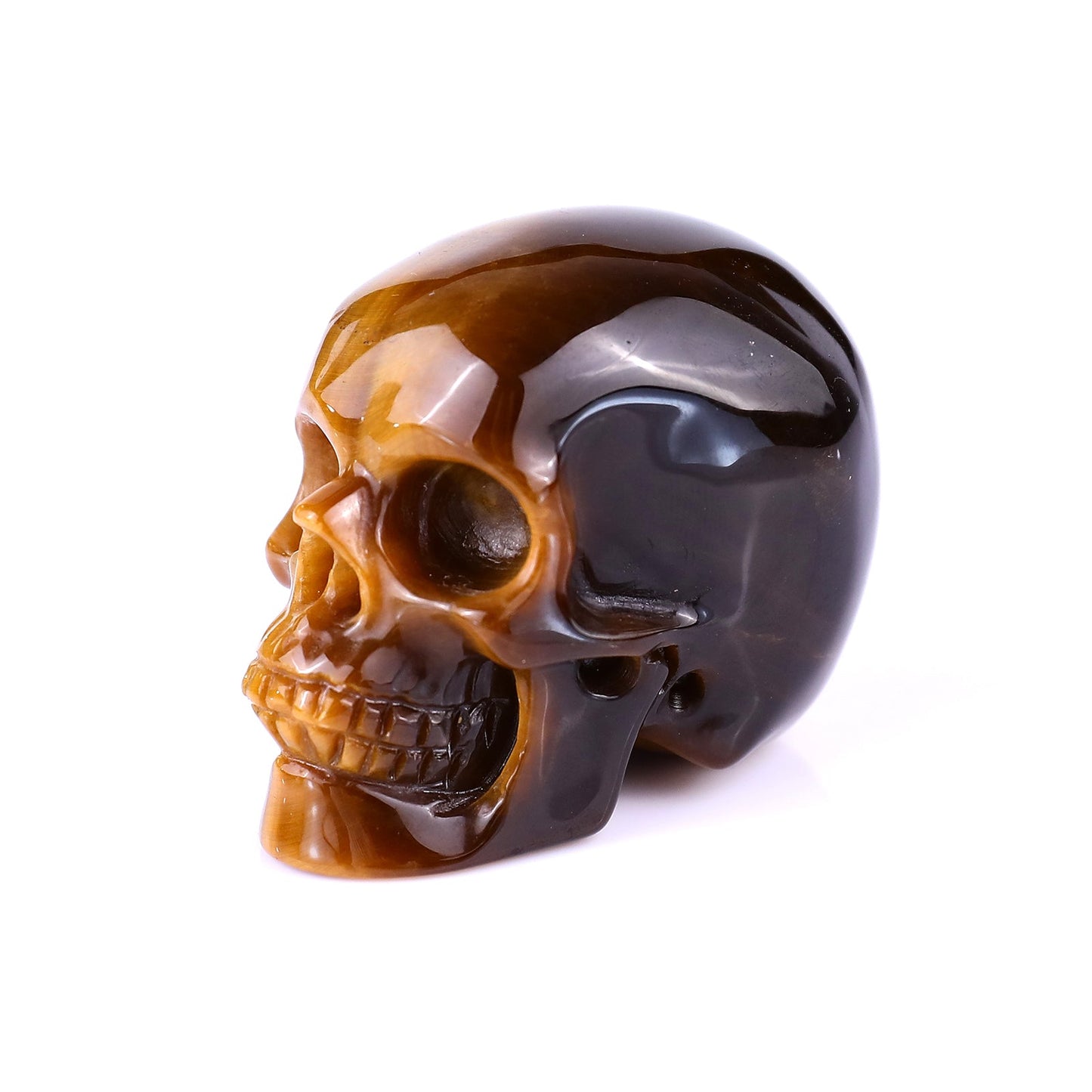 Nicedony 2.2" Gold Tiger Eye Hand Carved Realistic Skull Sculpture - View 21