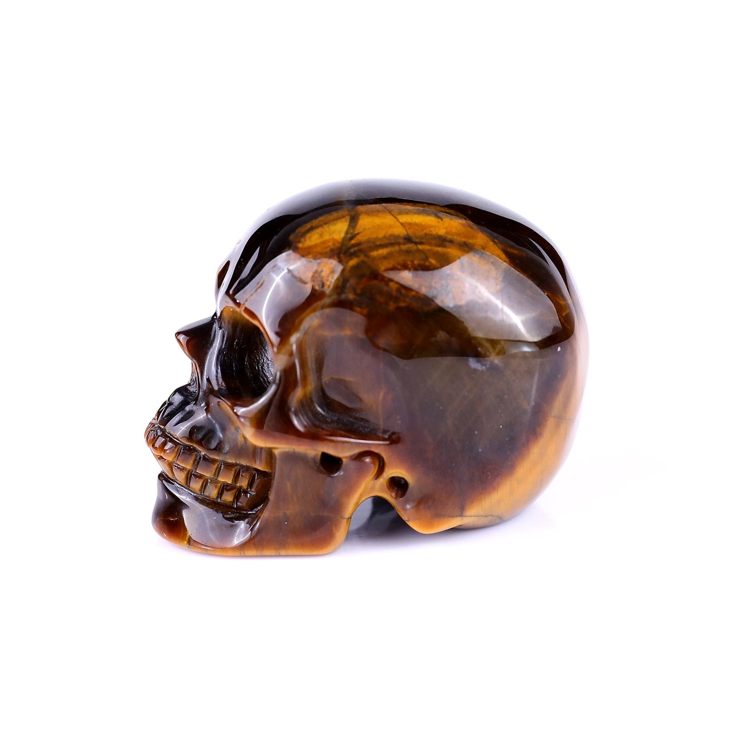Nicedony 2.2" Gold Tiger Eye Hand Carved Realistic Skull Sculpture - View 11