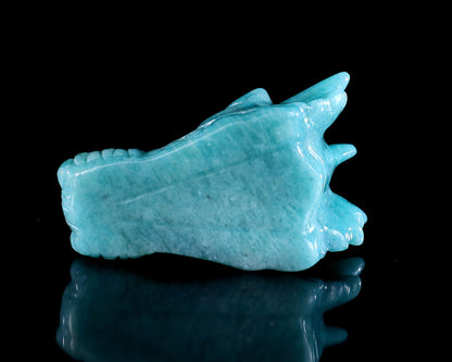 Nicedony 2.4" Amazonite Hand Carved Crystal Dragon Skull Sculpture - View 10