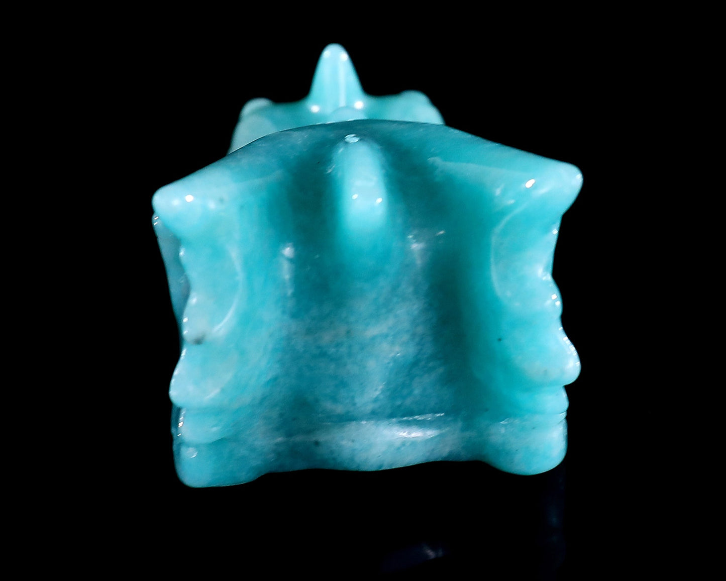 Nicedony 2.4" Amazonite Hand Carved Crystal Dragon Skull Sculpture - View 6