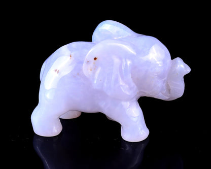 Nicedony 2.4" Blue Chalcedony Hand Carved Crystal Elephant Sculpture - View 14