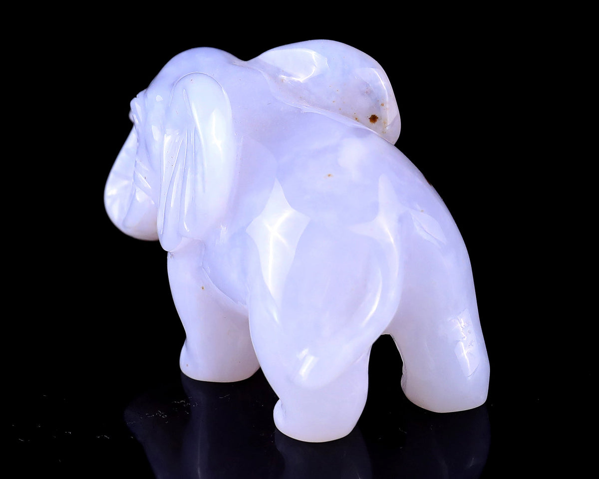 Why We Carve Animals
