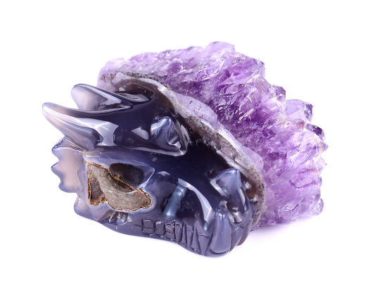 Nicedony 2.5" Amethyst Druse Agate Hand Carved Dragon Skull Sculpture