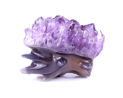 Nicedony 2.5" Amethyst Druse Agate Hand Carved Dragon Skull Sculpture - View 9