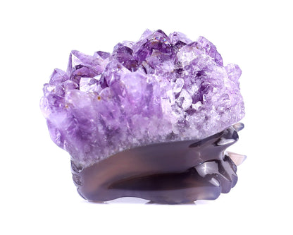 Nicedony 2.5" Amethyst Druse Agate Hand Carved Dragon Skull Sculpture - View 8