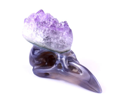 Nicedony 2.5" Amethyst Druse Agate Hand Carved Crystal Raven Skull Sculpture