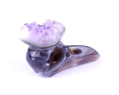 Nicedony 2.5" Amethyst Druse Agate Hand Carved Crystal Raven Skull Sculpture - View 4