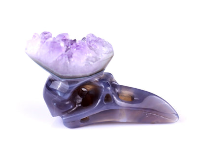 Nicedony 2.5" Amethyst Druse Agate Hand Carved Crystal Raven Skull Sculpture - View 3