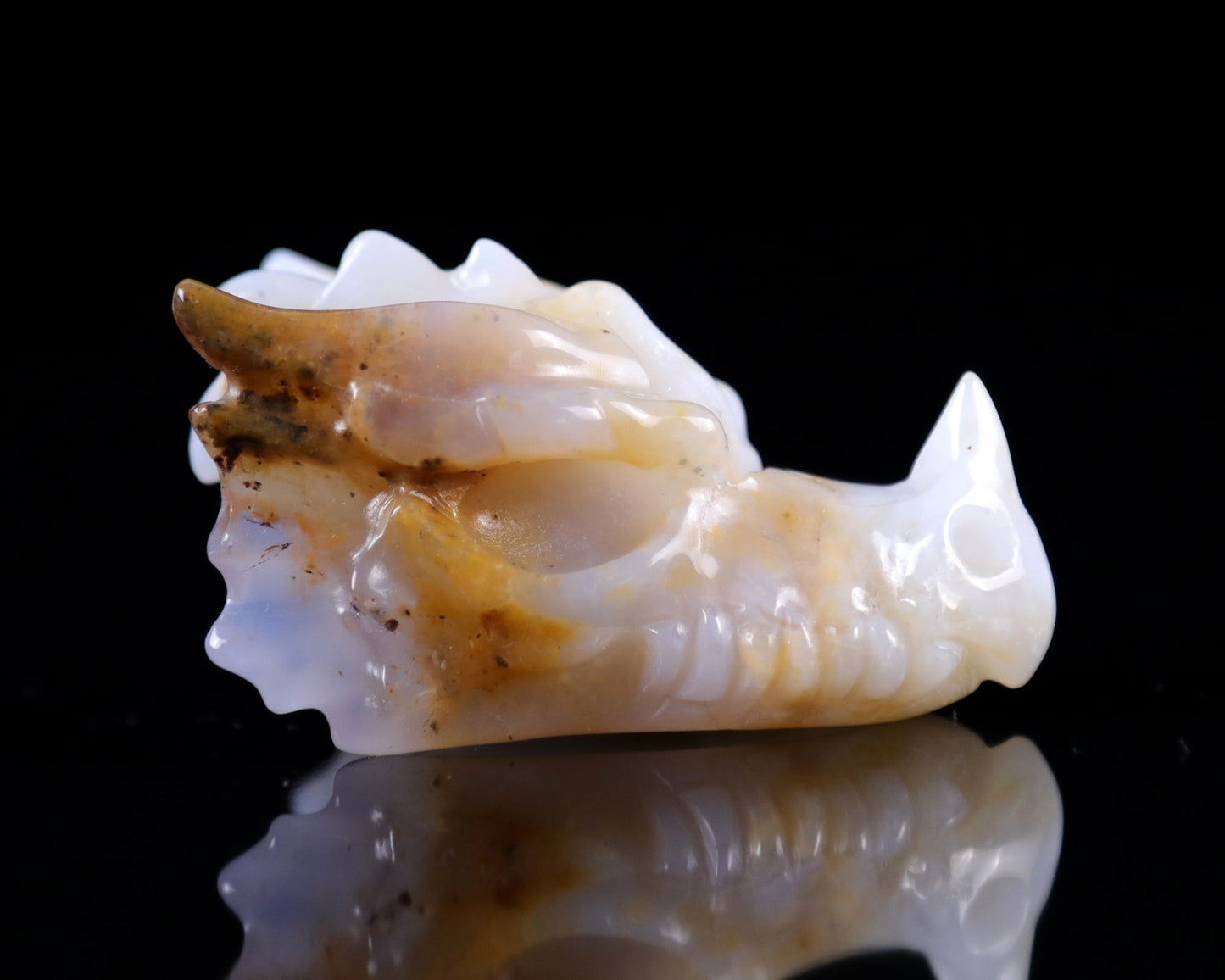 Nicedony 2.5" Blue Chalcedony Hand Carved Dragon Skull Sculpture - View 8