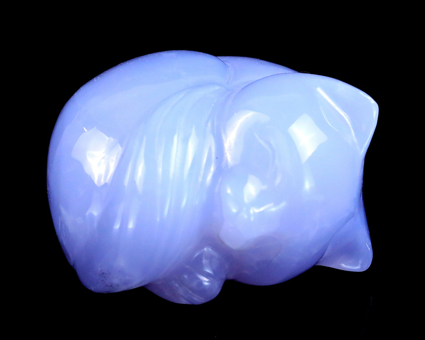 Nicedony 2.5" Blue Chalcedony Hand Carved Crystal Sleepy Cat Sculpture