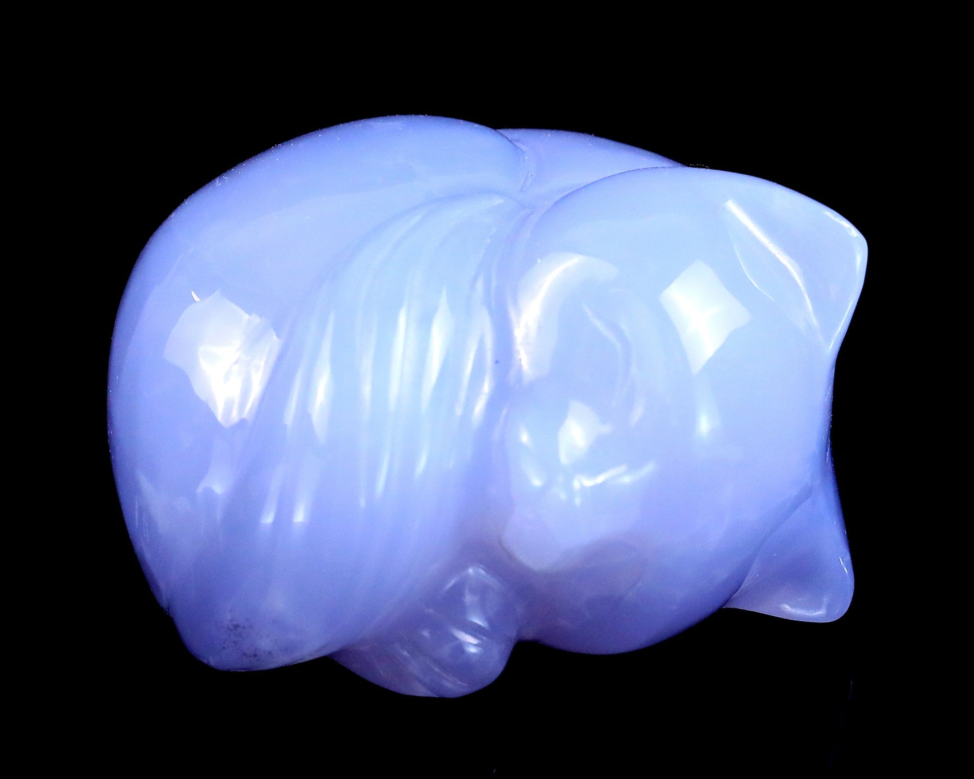 Nicedony 2.5" Blue Chalcedony Hand Carved Crystal Sleepy Cat Sculpture