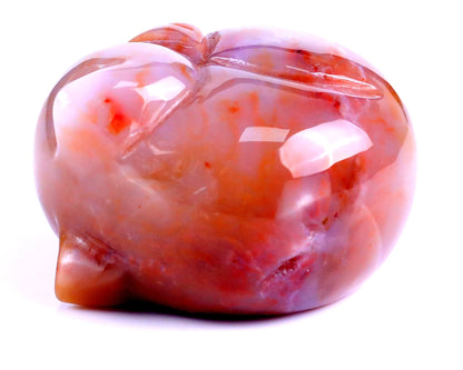 Nicedony 2.5" Red Jasper Hand Carved Crystal Sleepy Cat Sculpture - View 12