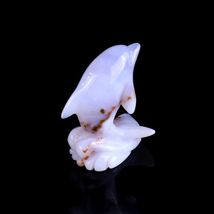 Nicedony 2.6" Blue Chalcedony Hand Carved Crystal Dolphin Sculpture - View 4