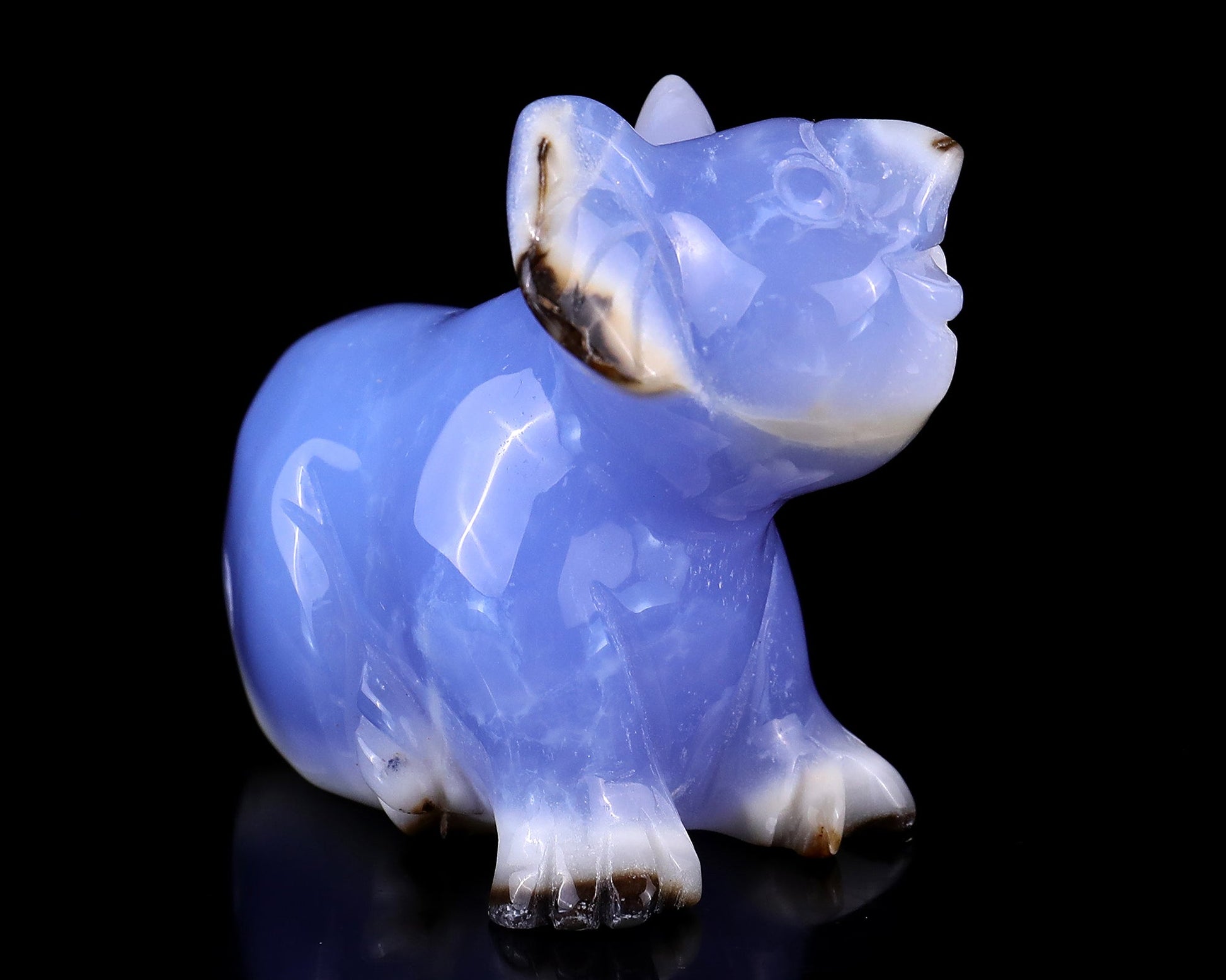 Nicedony 2.7" Blue Chalcedony Hand Carved Crystal Koala Sculpture - View 2