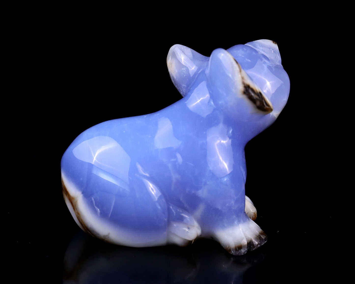 Nicedony 2.7" Blue Chalcedony Hand Carved Crystal Koala Sculpture - View 4