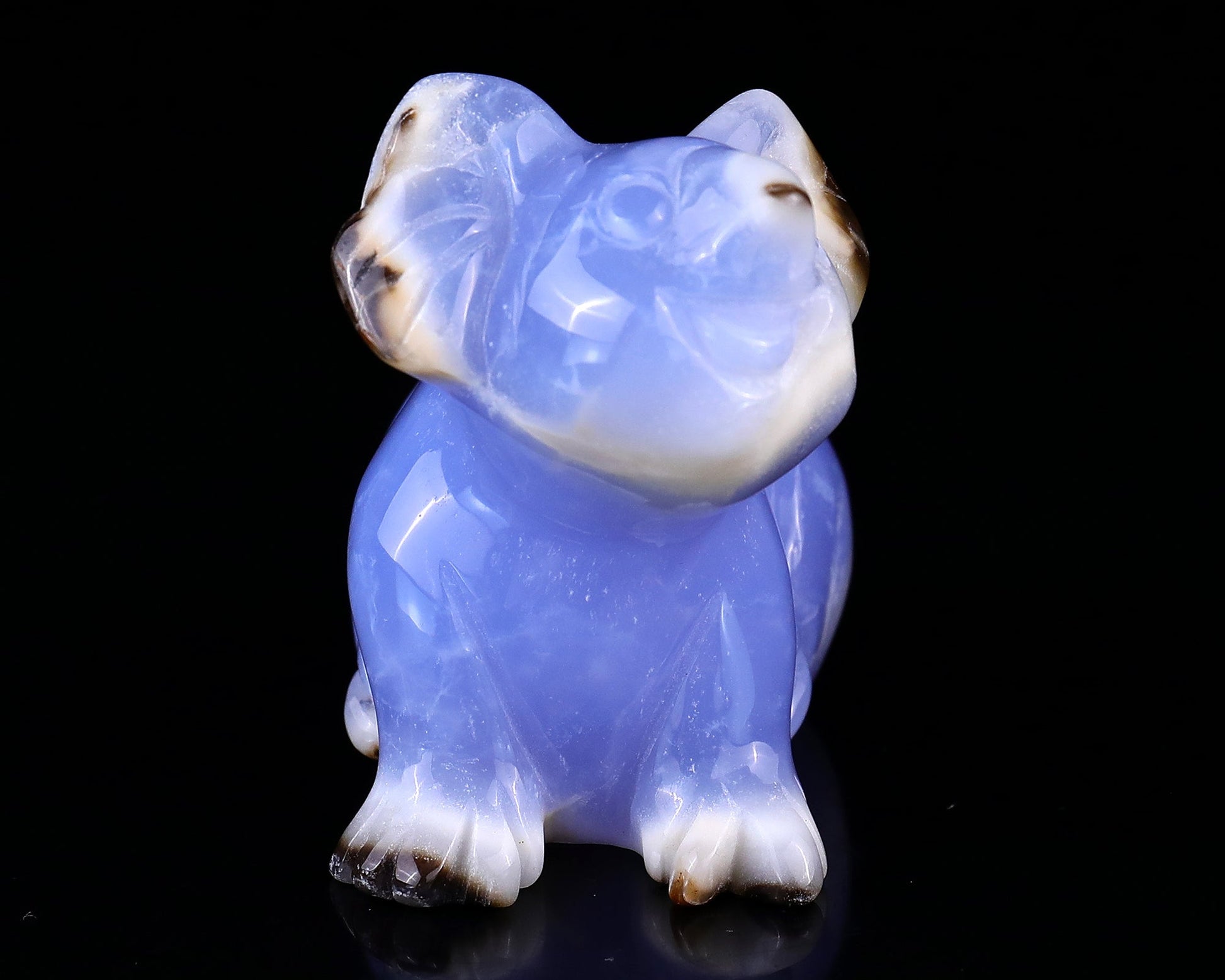 Nicedony 2.7" Blue Chalcedony Hand Carved Crystal Koala Sculpture - View 3