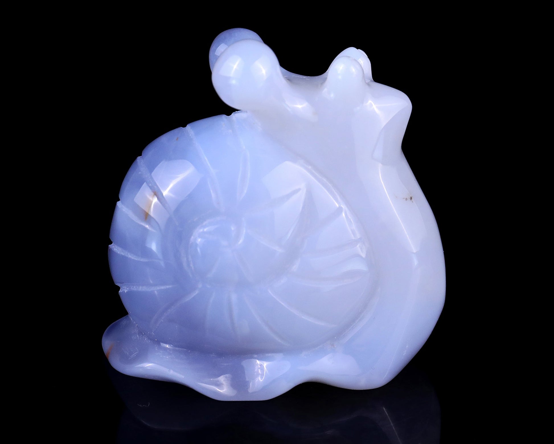 Nicedony 2.7" Blue Chalcedony Hand Carved Crystal Snail Sculpture - View 3
