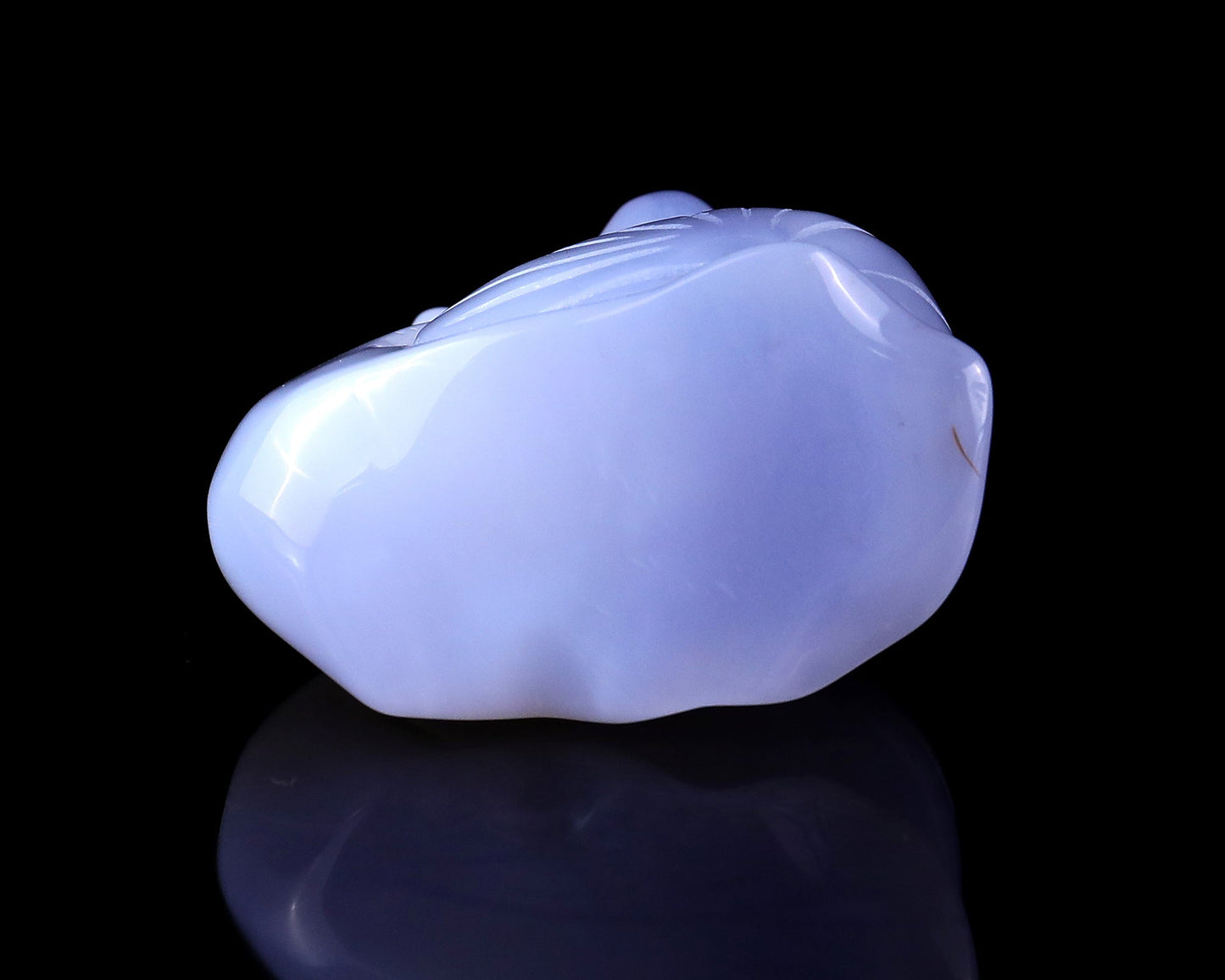 Nicedony 2.7" Blue Chalcedony Hand Carved Crystal Snail Sculpture - View 8