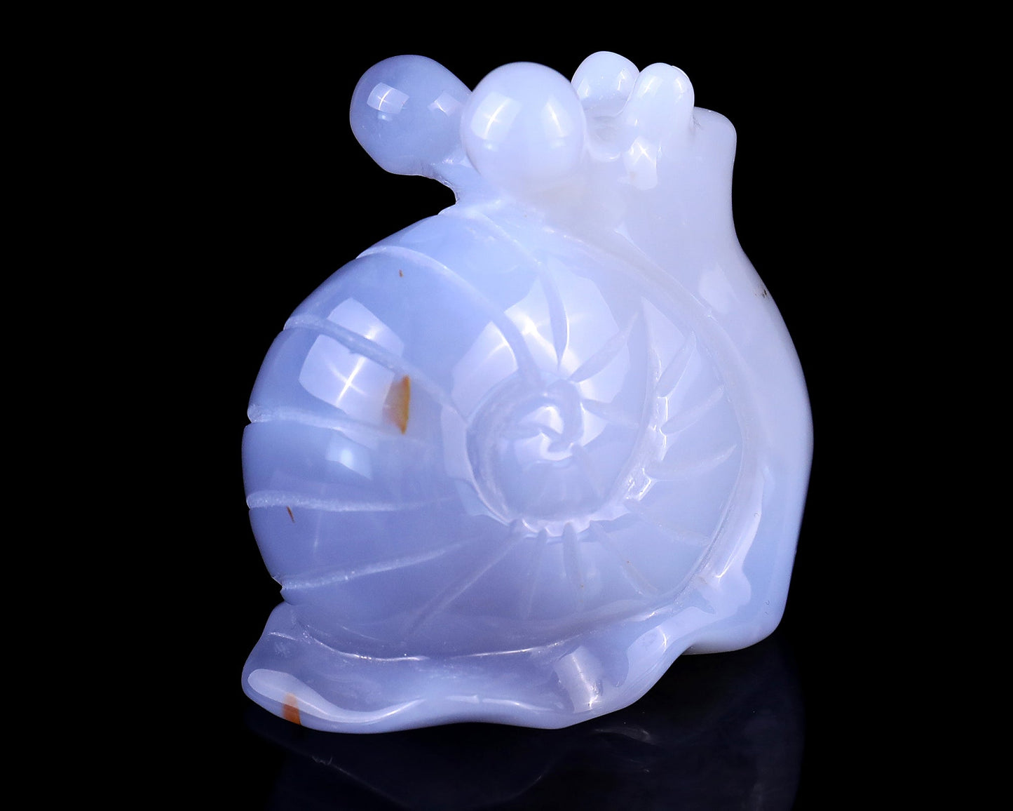Nicedony 2.7" Blue Chalcedony Hand Carved Crystal Snail Sculpture - View 4