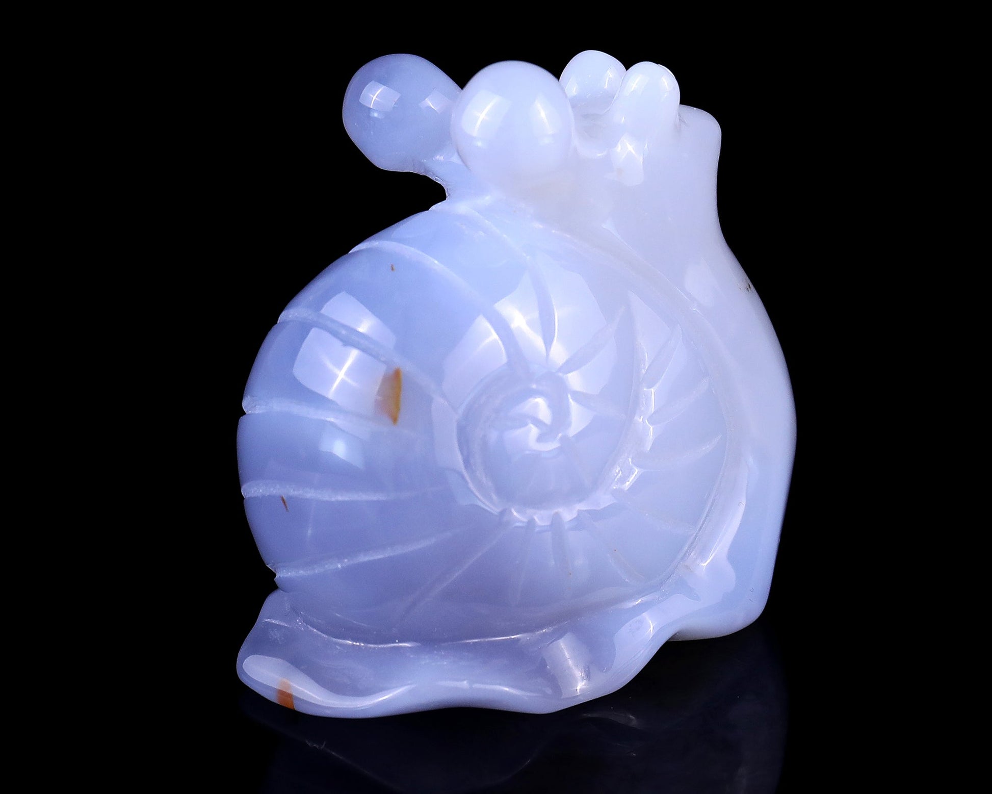 Nicedony 2.7" Blue Chalcedony Hand Carved Crystal Snail Sculpture - View 4