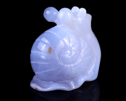 Nicedony 2.7" Blue Chalcedony Hand Carved Crystal Snail Sculpture - View 4