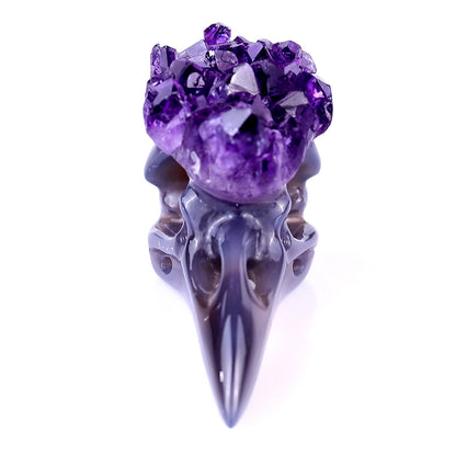 Nicedony 2.8" Amethyst Druse Agate Hand Carved Raven Skull Sculpture - View 2