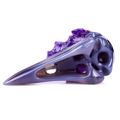 Nicedony 2.8" Amethyst Druse Agate Hand Carved Raven Skull Sculpture - View 6