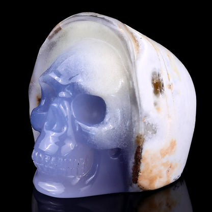 Nicedony 2.8" Blue Chalcedony Hand Carved Skull Sculpture - View 7